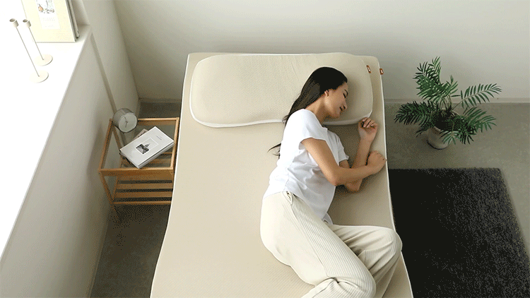 NP腰眠マットレス シングル+専用まくらセット NELUD(ネルディ