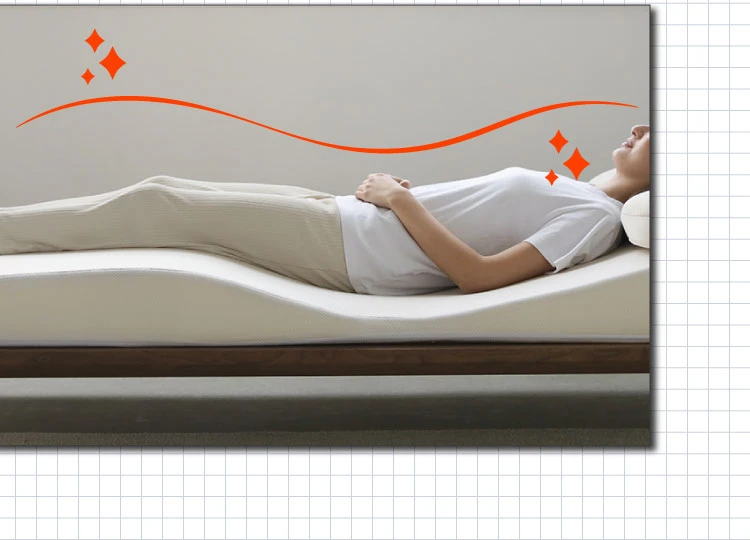 NP腰眠マットレス シングル+専用まくらセット NELUD(ネルディ