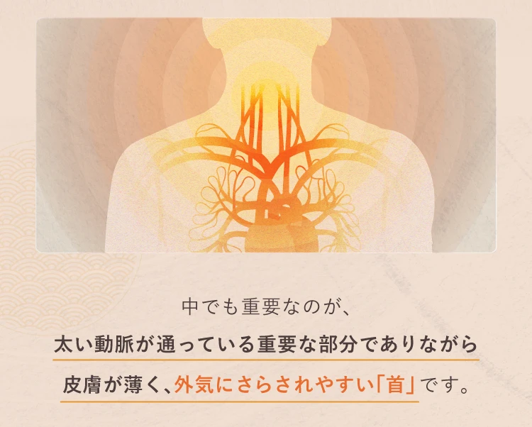 中でも重要なのが、太い動脈が通っている重要な部分でありながら皮膚が薄く、外気にさらされやすい「首」です。