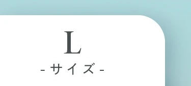 Lサイズ選択