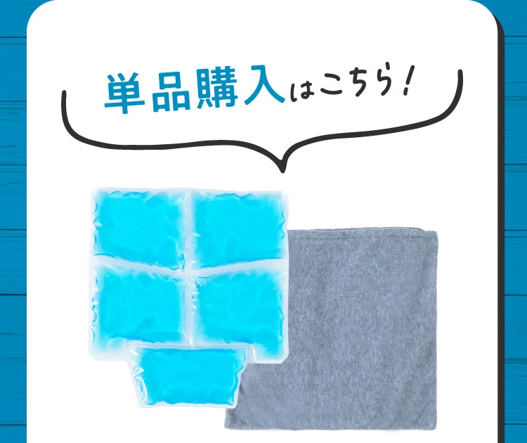 単品購入はこちら