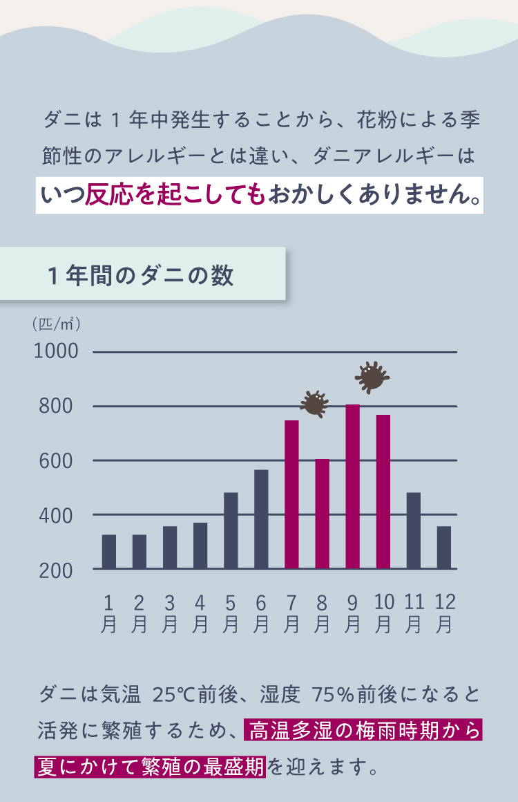 ダニは1年中発生することから、花粉による季節性のアレルギーとは違い、ダニアレルギーはいつ反応を起こしてもおかしくありません。