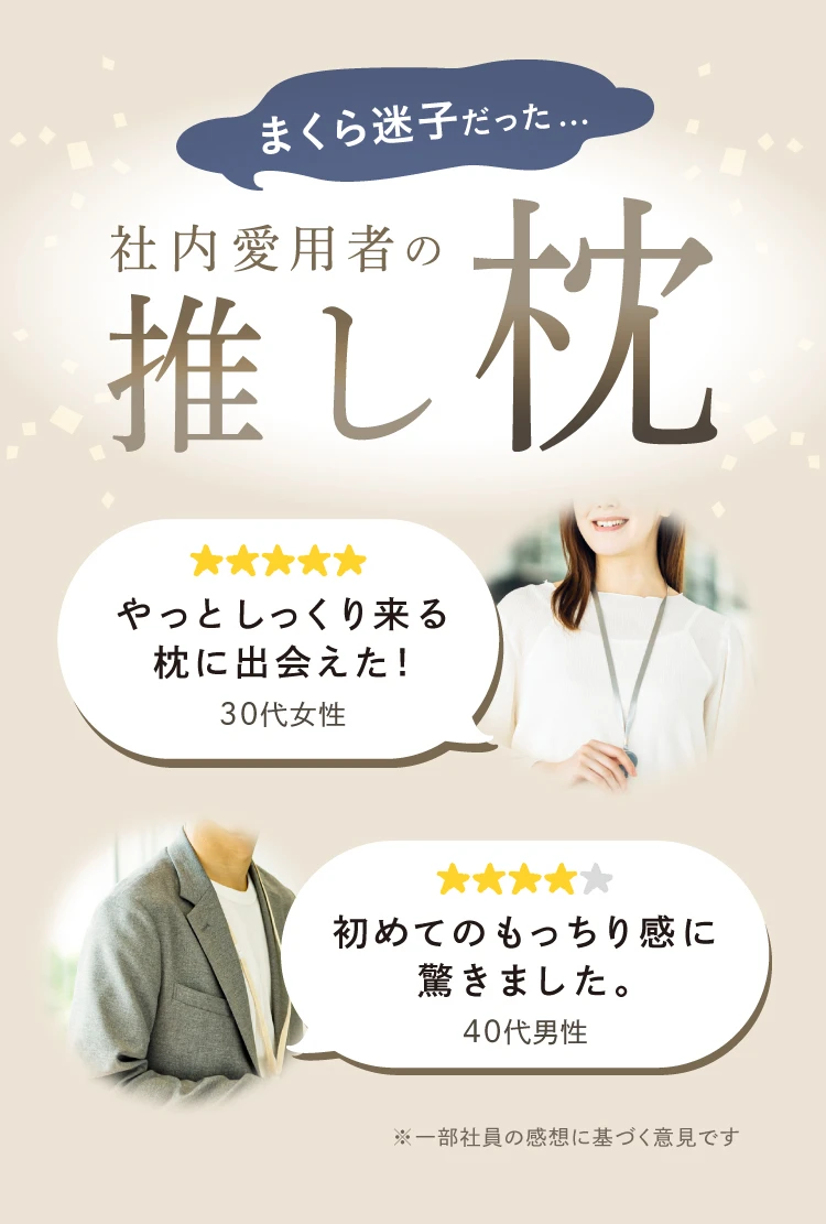 まくら迷子だった、社内愛用者の推し枕