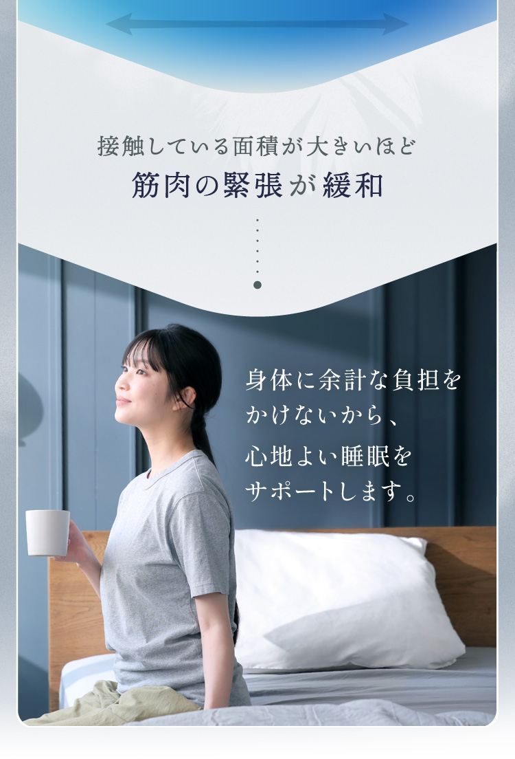 公式】ふとんでまくら PREMIUM 満(ミチル) | 快眠専門サイトNelture