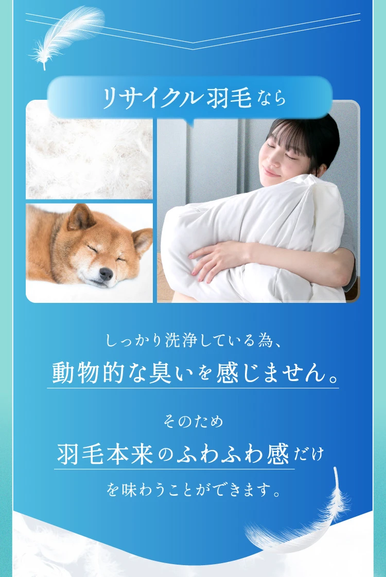 しっかり洗浄している為、動物的な臭いを感じません。そのため羽毛本来のふわふわ感だけを味わうことができます。