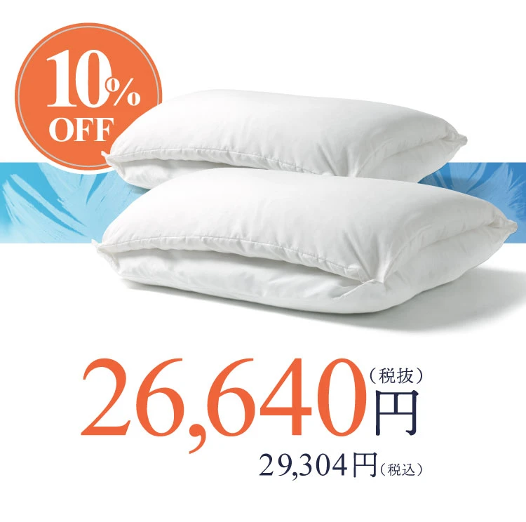 2個セット 本体のみ