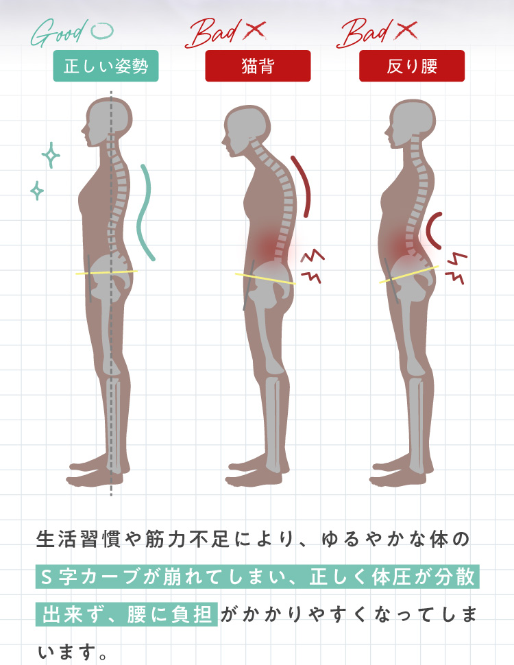 S字カーブが崩れてしまい、正しく体圧が分散できず、腰に負担がかかりやすくなっています