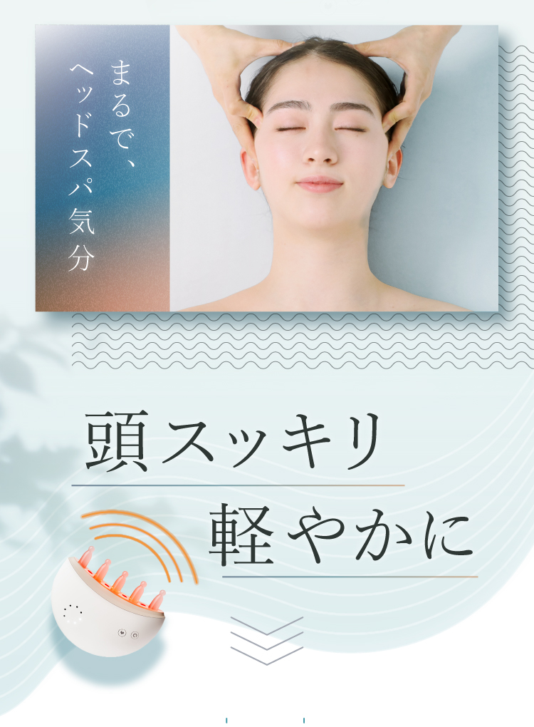 ジェイドコーム | Nelture