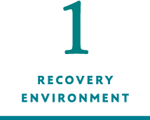 1 RECOVERY ENVIRONMENT