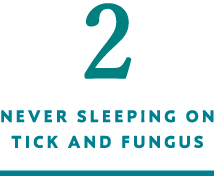 2 NEVER SLEEPING ON TICK AND FUNGUS