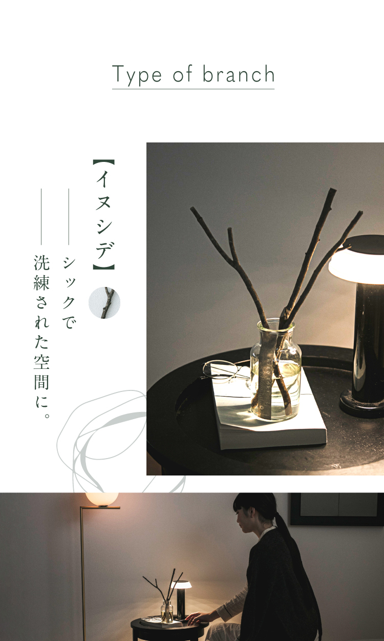 イヌシデ