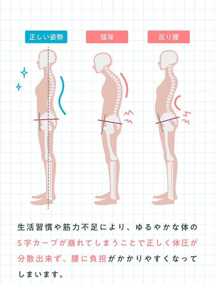 生活習慣や筋力不足により、ゆるやかな体のS字カーブがくずれてしまうことで