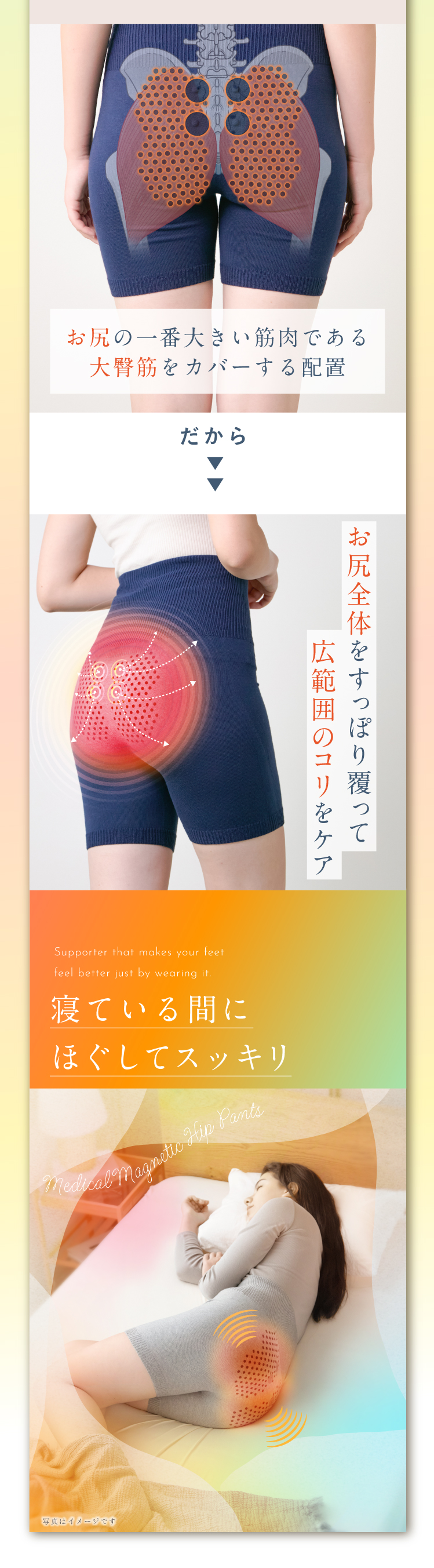 ポイント02.おしりの一番大きい筋肉である大臀筋をカバーする配置