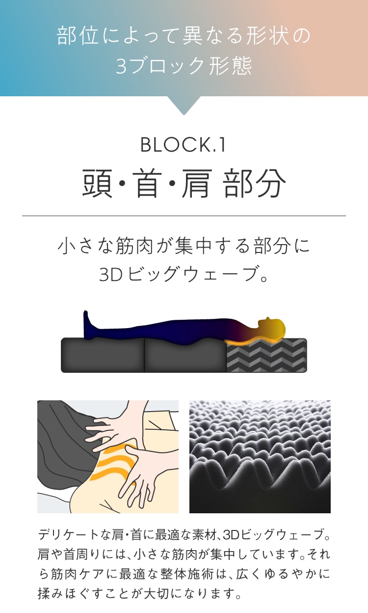 部位によって異なる形状の3ブロック形態　BLOCK.1　頭・首・肩部分