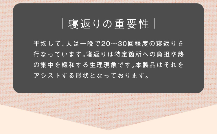 3.イヤーポケット