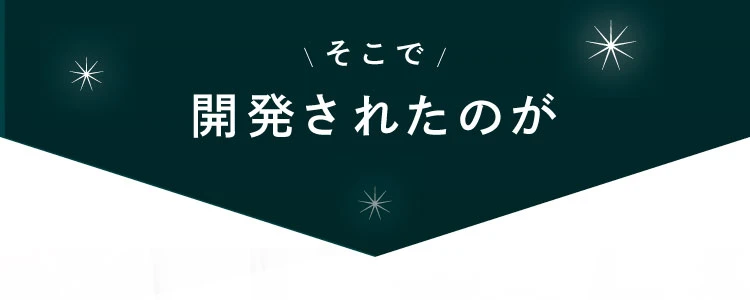 そこで開発されたのが