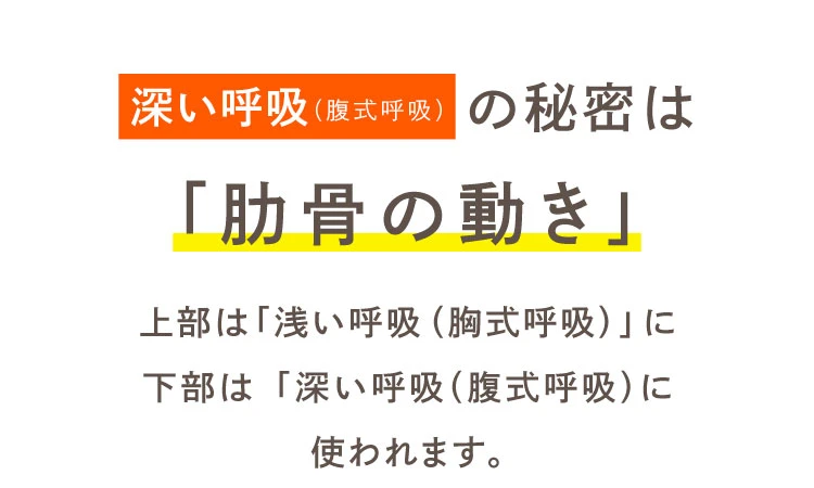 深い呼吸の秘密は「肋骨の動き」