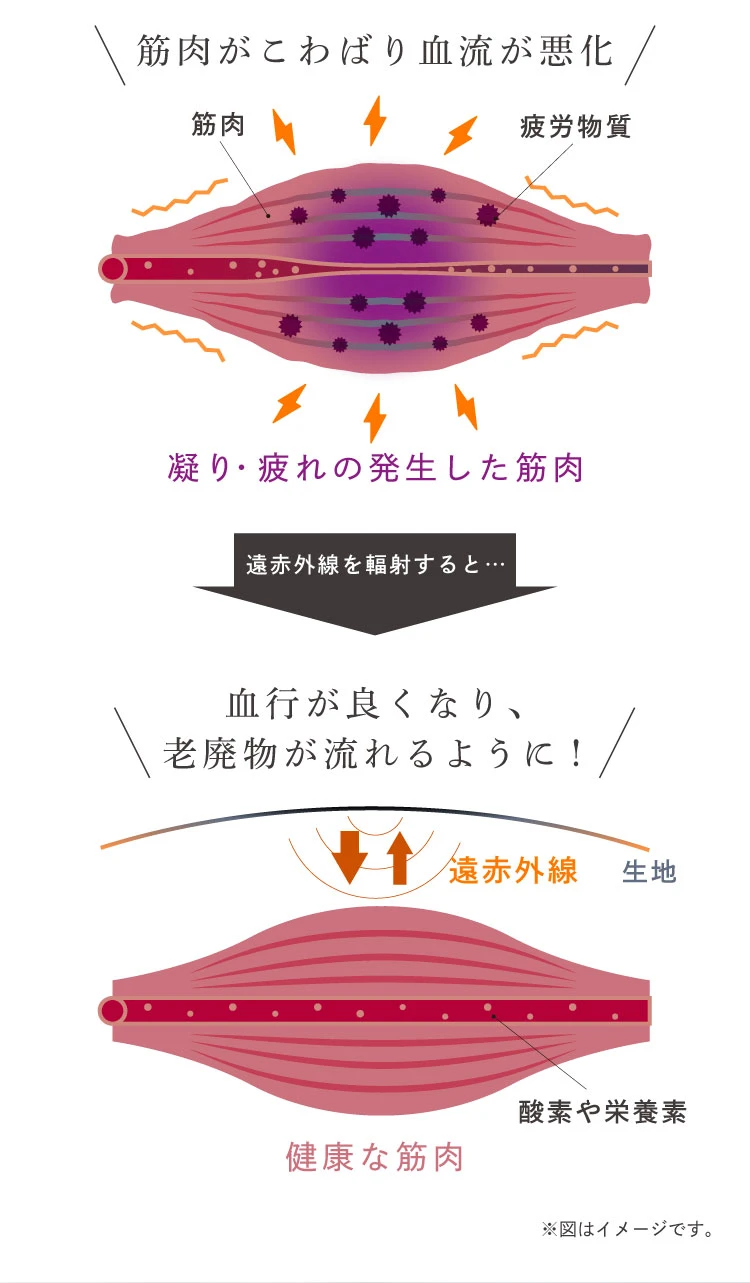 筋肉がこわばり血流が悪化　凝り・疲れの発生した筋肉に遠赤外線を輻射すると　血行が良くなり、老廃物が流れるように！