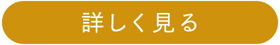 詳しく見る