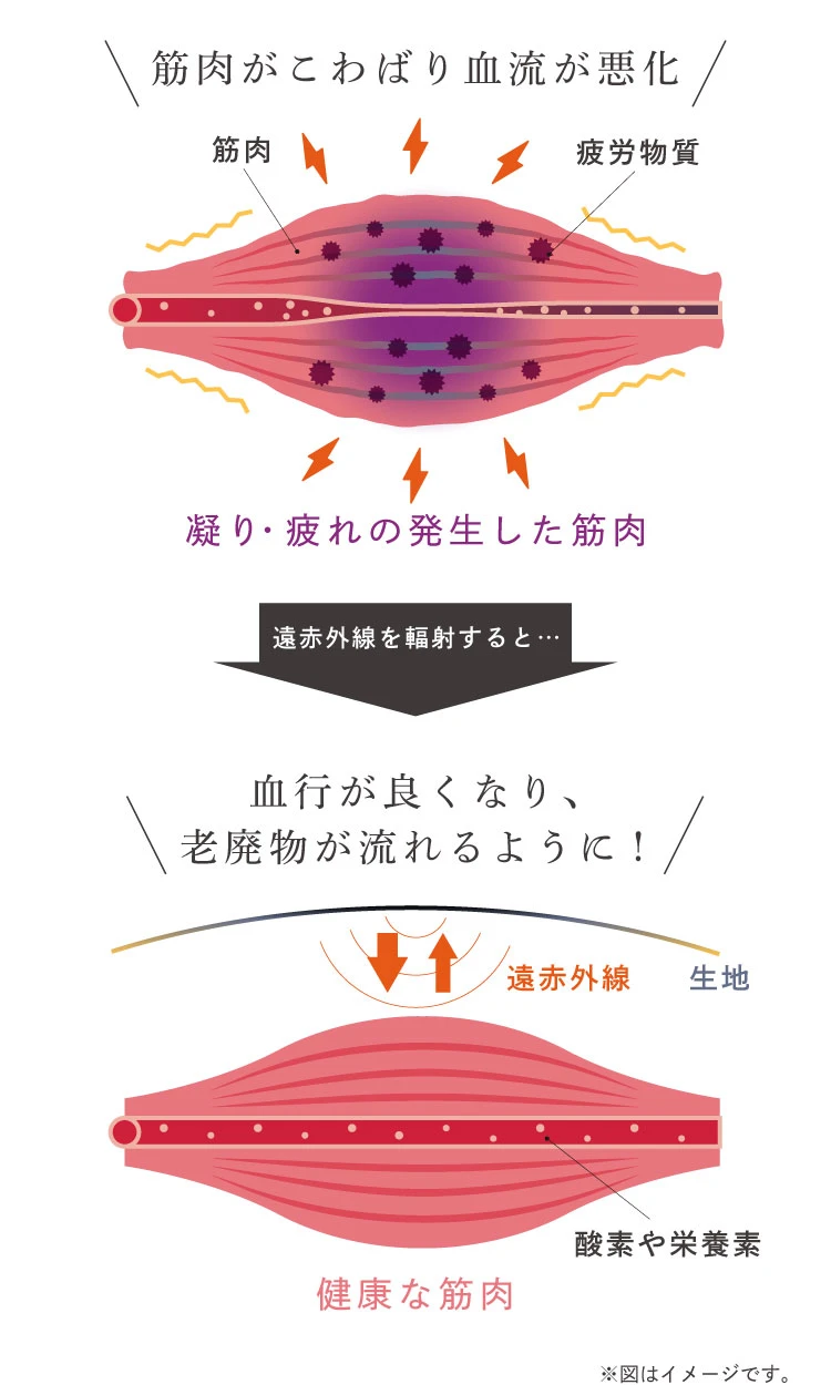 筋肉がこわばり血流が悪化　凝り・疲れの発生した筋肉に遠赤外線を輻射すると　血行が良くなり、老廃物が流れるように！