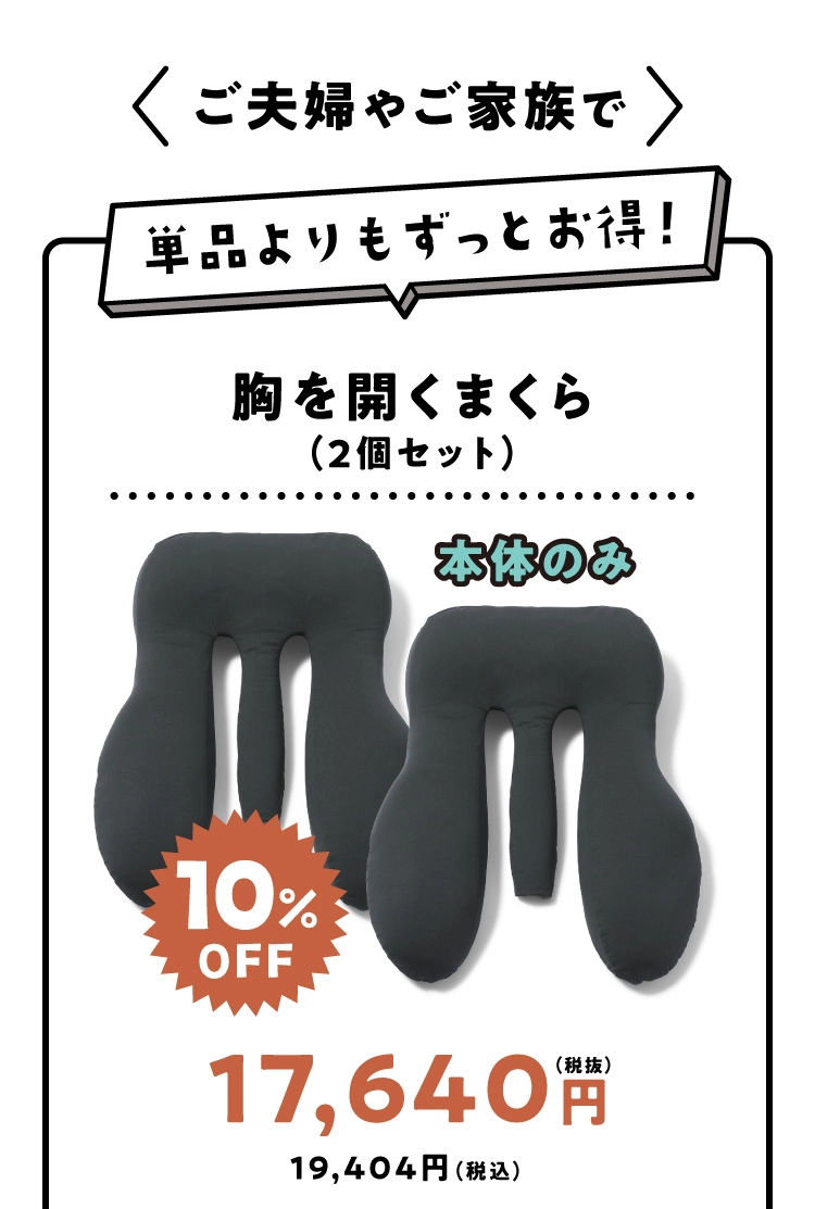 2個セット 本体のみ