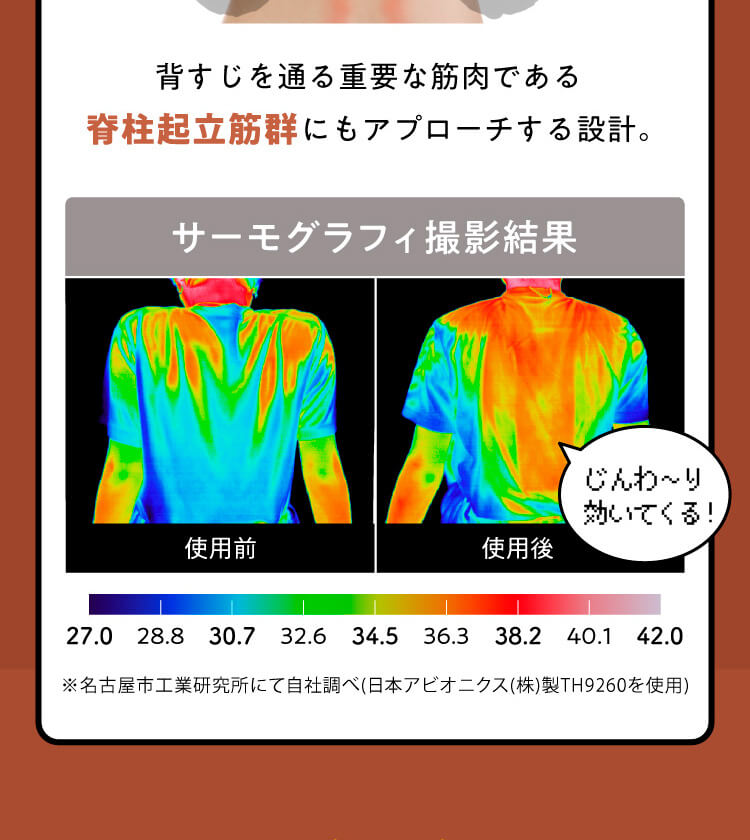 背すじを通る重要な筋肉である脊柱起立筋群にもアプローチする設計