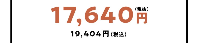 2個セット 本体のみ 価格