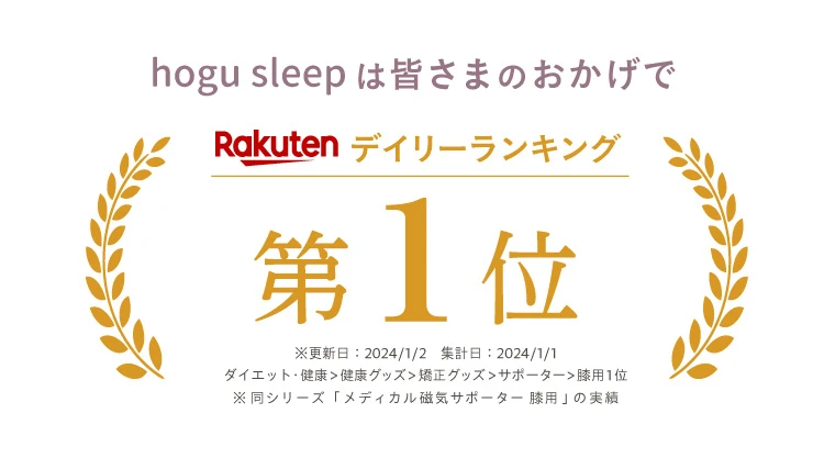 デイリーランキング第一位