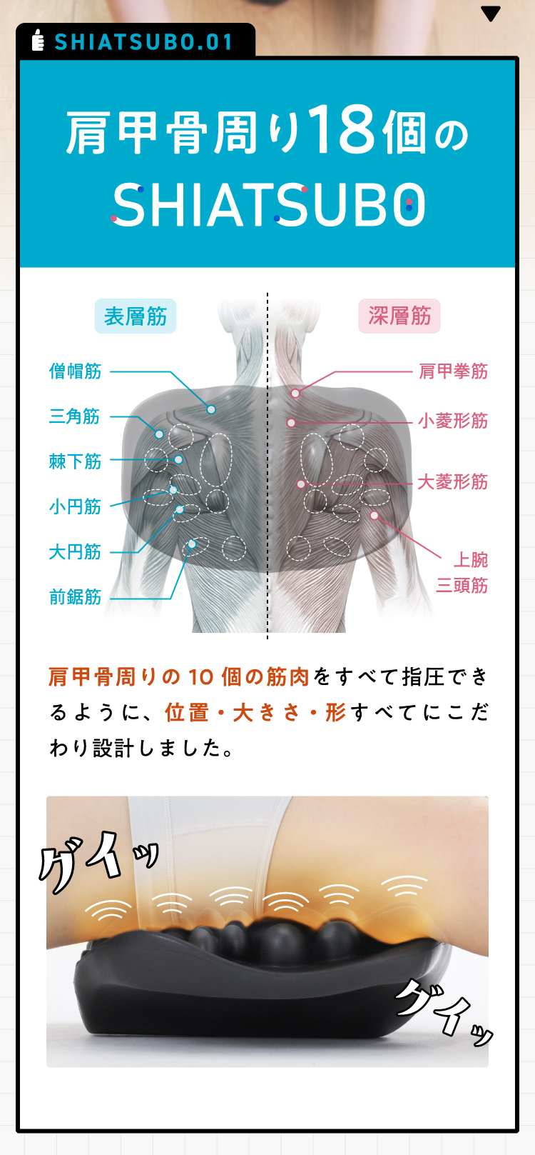 肩甲骨周り18個のSHIATUBO