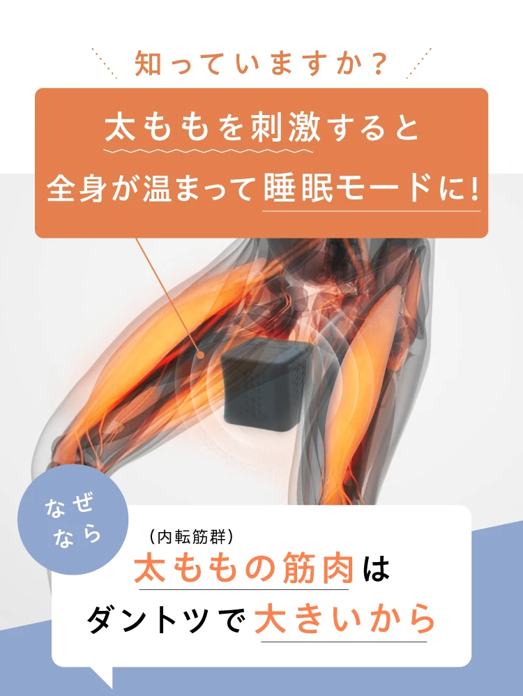 シェイクボックス 太もも用エクササイズ シェイクボックス gymterior(ジムテリア) | Nelture