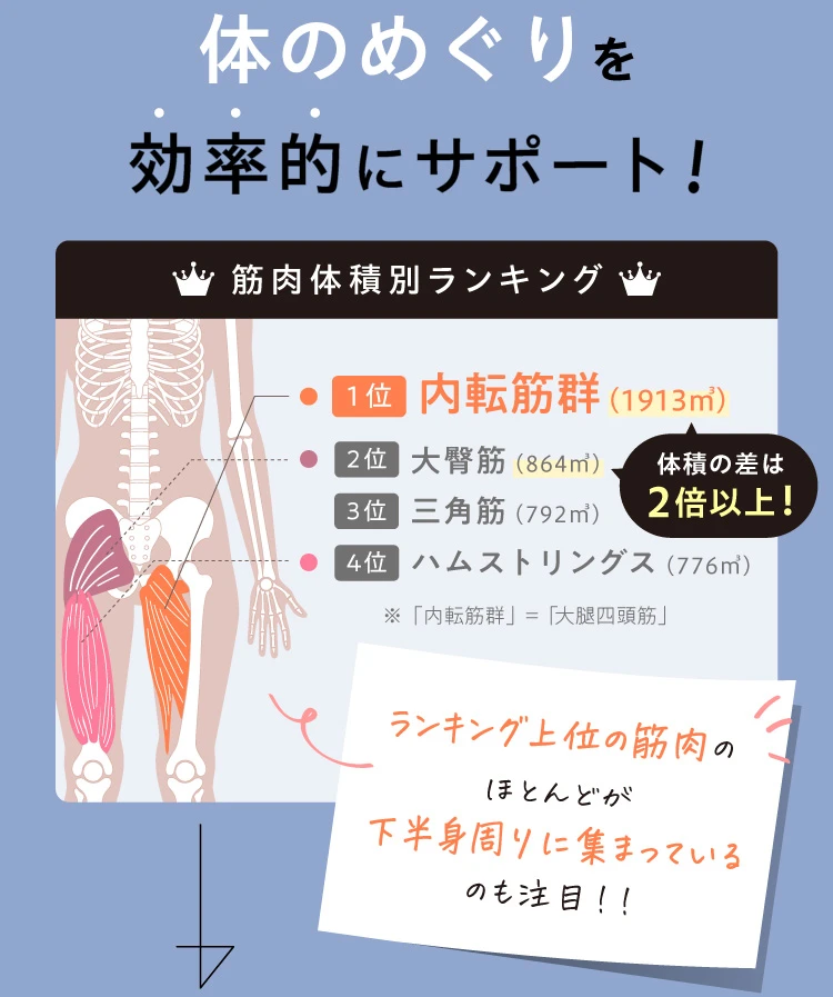 シェイクボックス gymterior(ジムテリア) | Nelture
