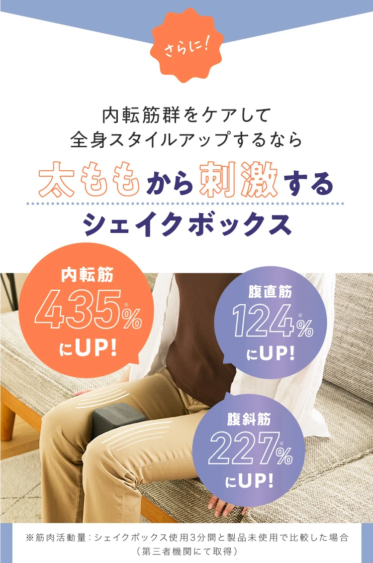 gymterior シェイクボックス 太ももキュッ！挟むだけの下半身エクササイズ シェイクボックス gymterior(ジムテリア) | Nelture