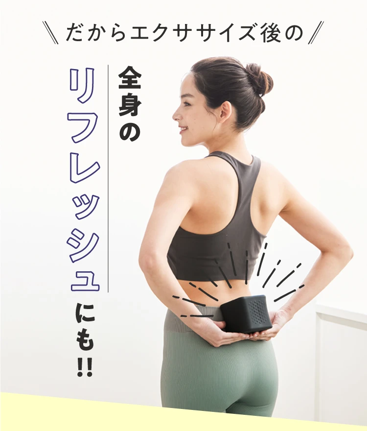 gymterior ジムテリア シェイクボックス エクササイズ用品 シェイクボックス gymterior(ジムテリア) | Nelture