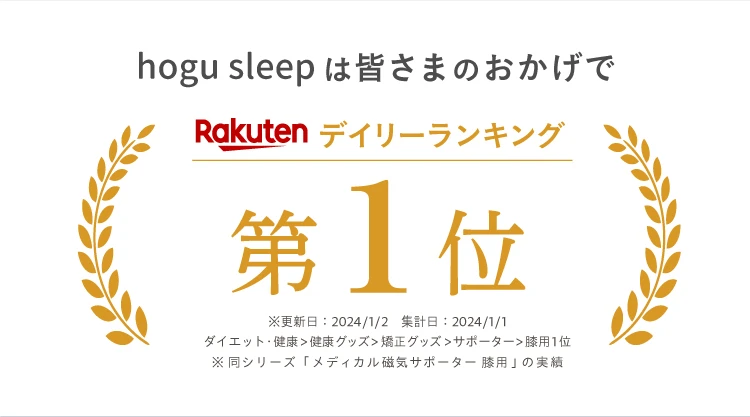 デイリーランキング1位