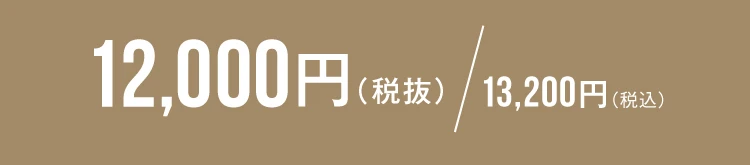 敷パッド　価格