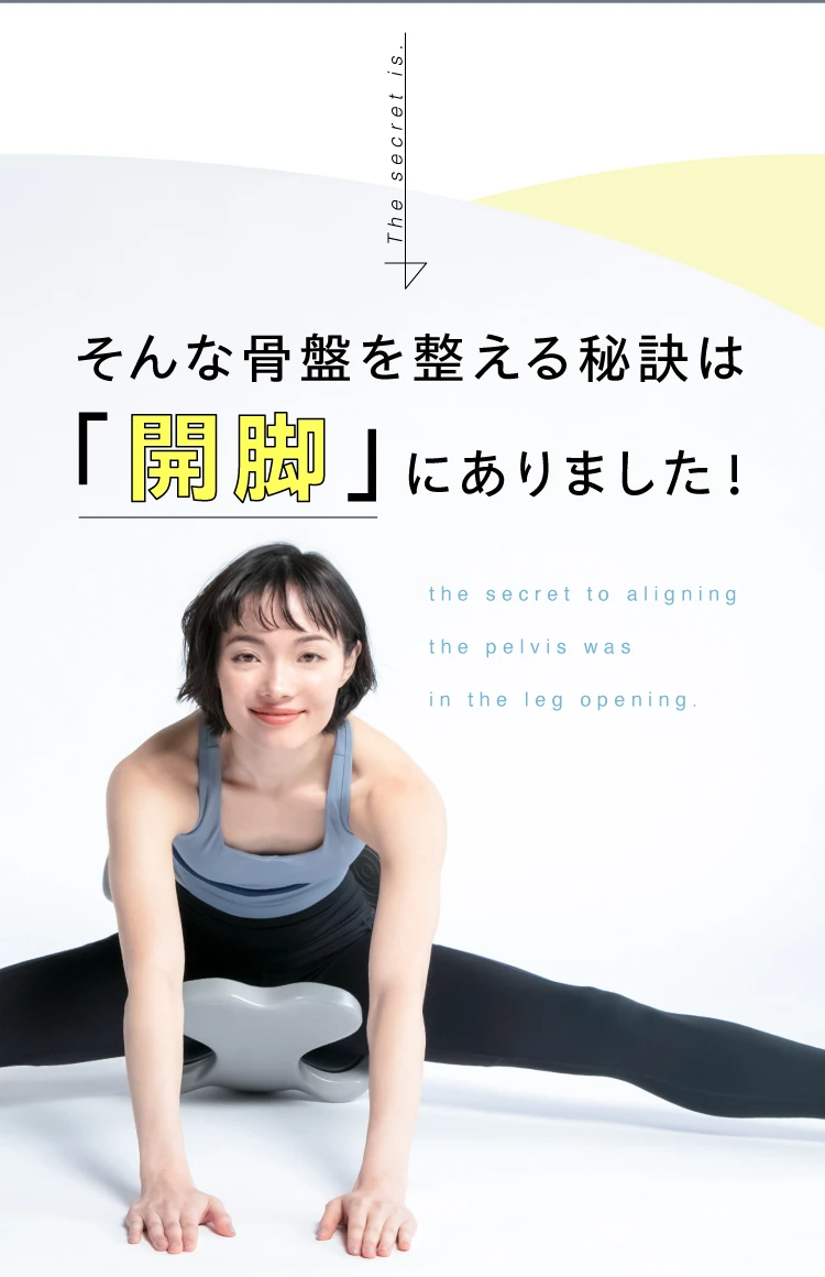 ヨガバランス開脚チェア(カバー付き) Circle balance(サークルバランス