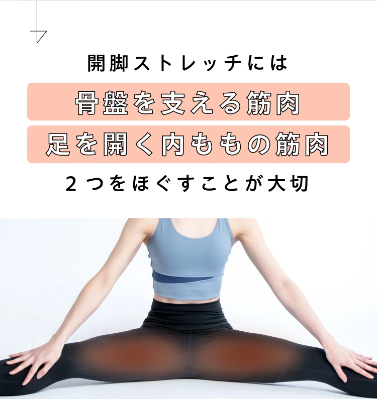 ヨガバランス開脚チェア(カバー付き) Circle balance(サークル