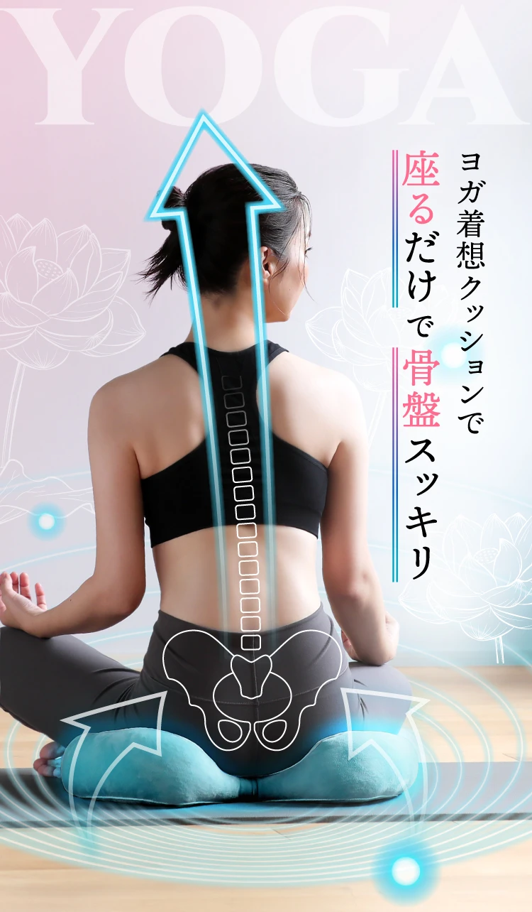 JESSE naoto クッション Amazon.com: JUNJUMOTO One Piece Rider Passenger Seat Driver