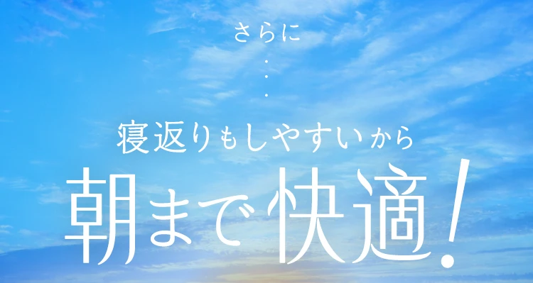 マイクロわた×ウレタンチップ やみつきになるふんわり感を実現！独自の配合比で頭・首にかかる負担を軽減！