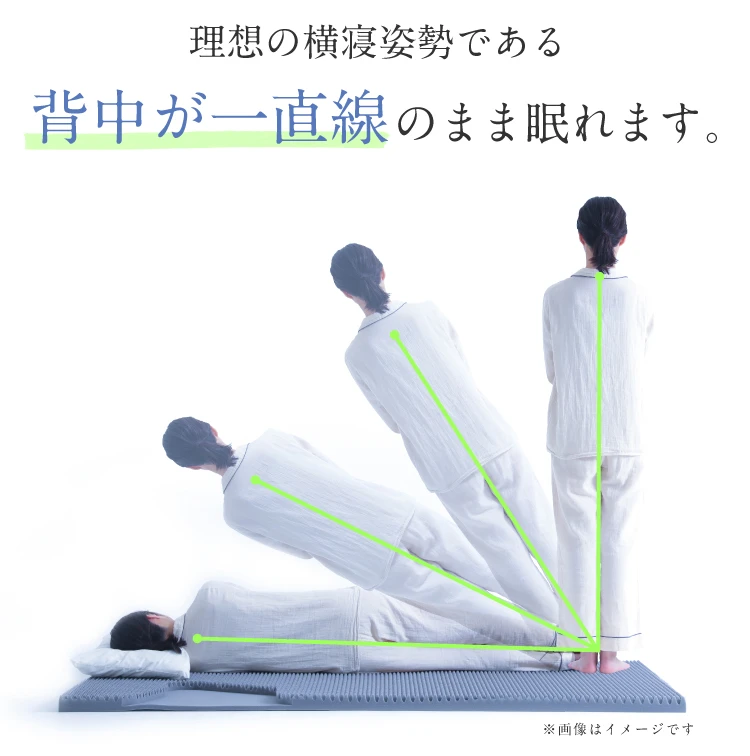 理想の寝姿勢である背中が一直線のまま眠れます。
