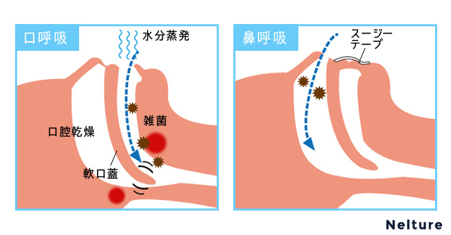 口で呼吸をしてはダメ?実はデメリットばかり